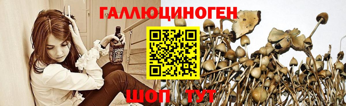 Галлюциногенные грибы мухоморы Луховицы