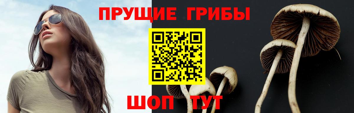 Галлюциногенные грибы GOLDEN TEACHER  дарнет шоп  Луховицы  Вход с VPN  Псилоцибиновые грибы прущие грибы 